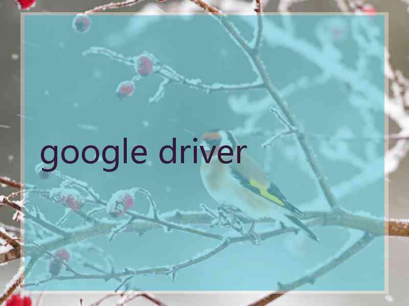 google driver