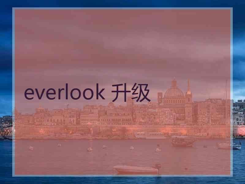 everlook 升级