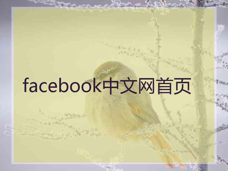 facebook中文网首页