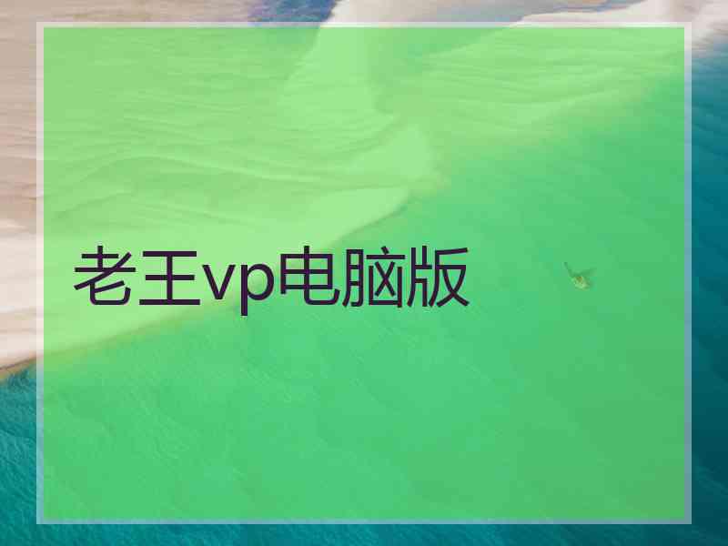 老王vp电脑版