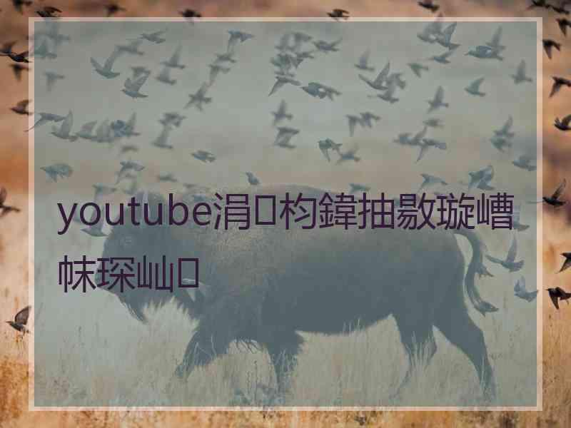 youtube涓枃鍏抽敭璇嶆帓琛屾