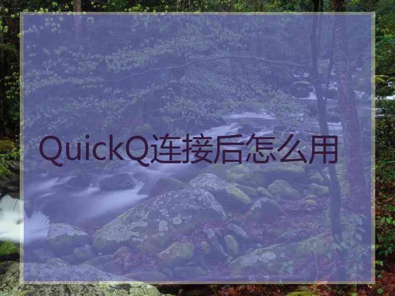 QuickQ连接后怎么用