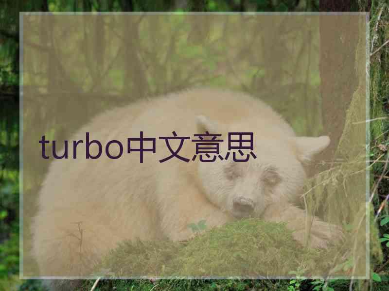 turbo中文意思