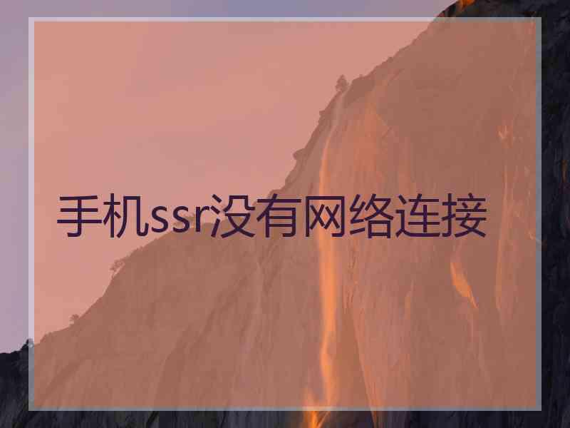 手机ssr没有网络连接