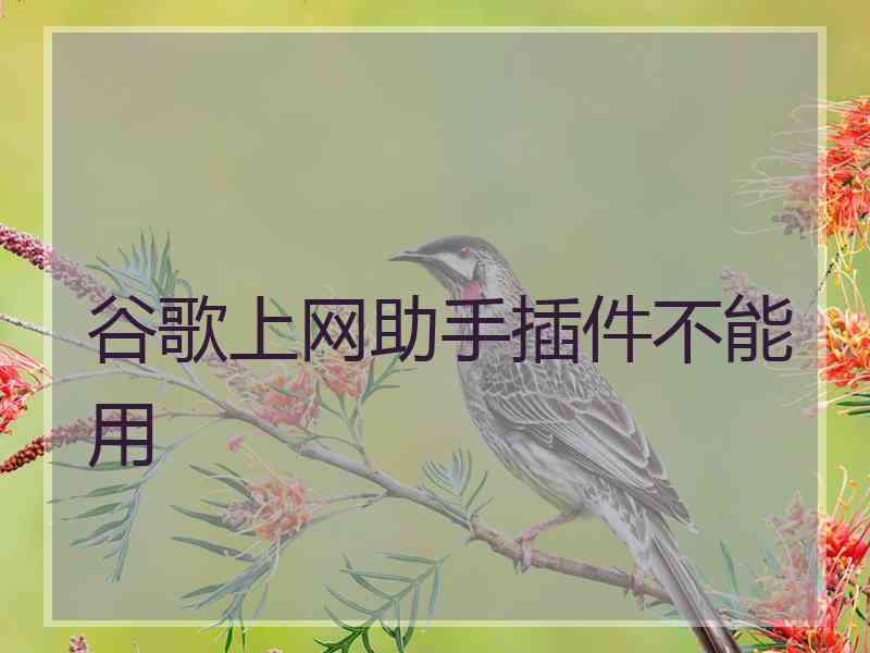 谷歌上网助手插件不能用