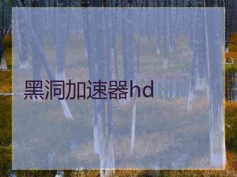 黑洞加速器hd