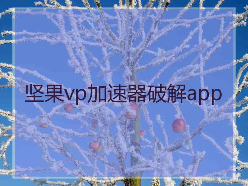 坚果vp加速器破解app