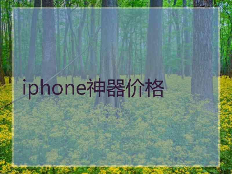 iphone神器价格