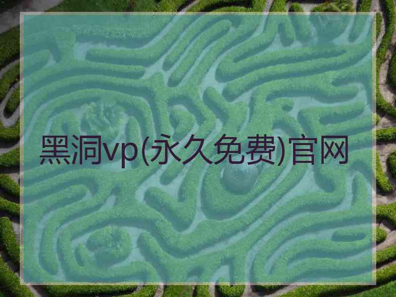 黑洞vp(永久免费)官网