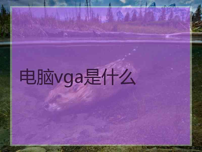 电脑vga是什么