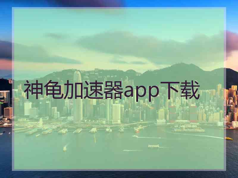 神龟加速器app下载