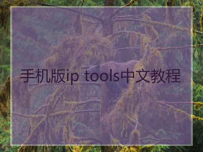 手机版ip tools中文教程