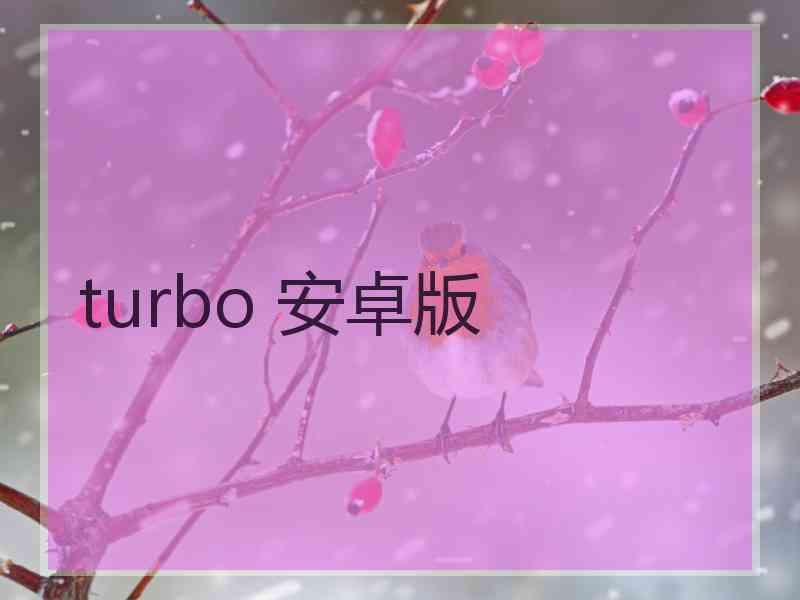 turbo 安卓版