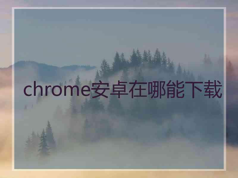 chrome安卓在哪能下载