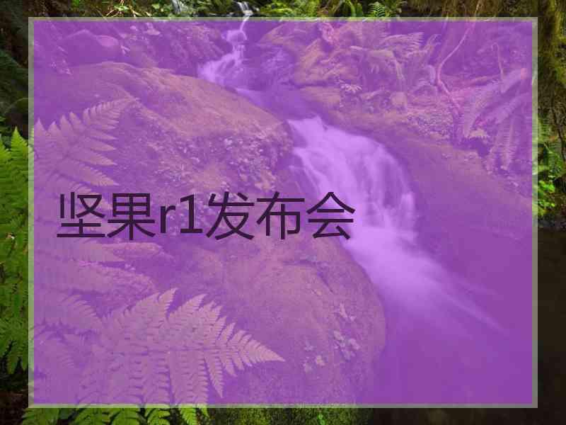 坚果r1发布会