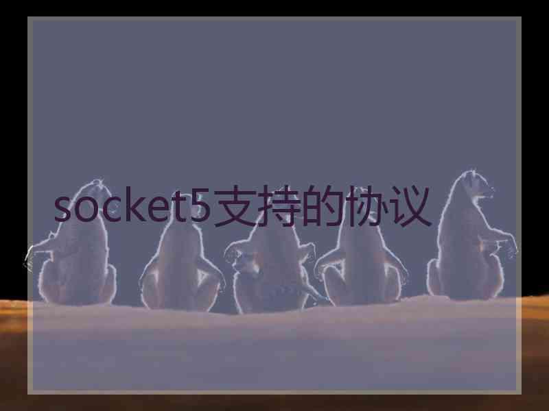 socket5支持的协议