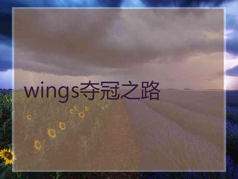 wings夺冠之路