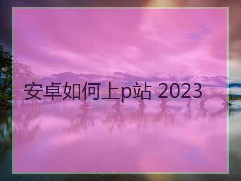 安卓如何上p站 2023