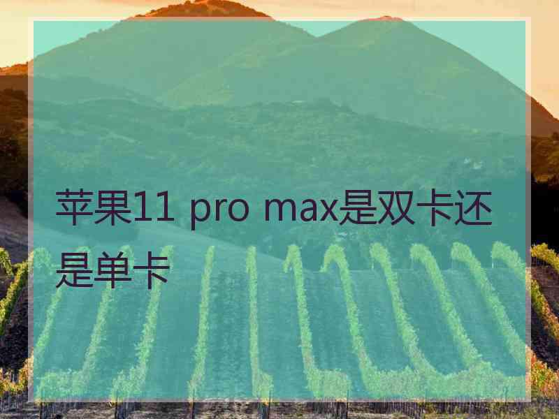 苹果11 pro max是双卡还是单卡