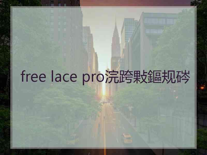 free lace pro浣跨敤鏂规硶