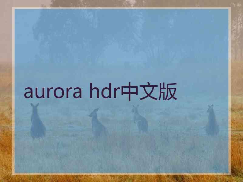 aurora hdr中文版