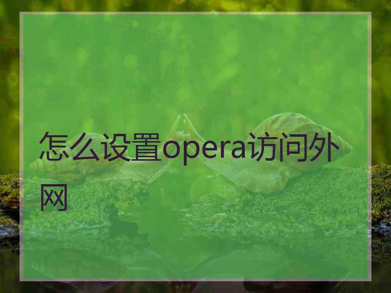 怎么设置opera访问外网