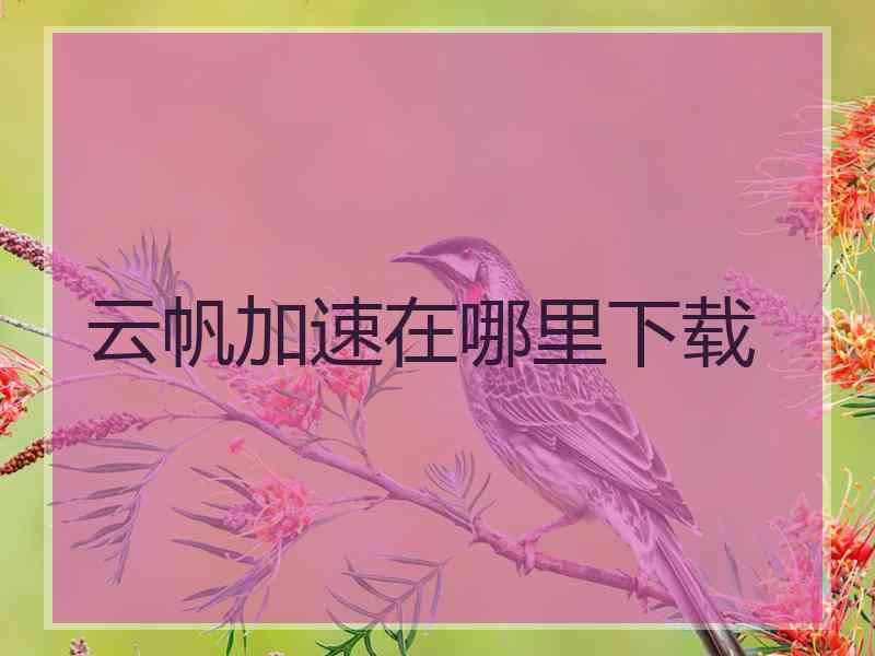 云帆加速在哪里下载