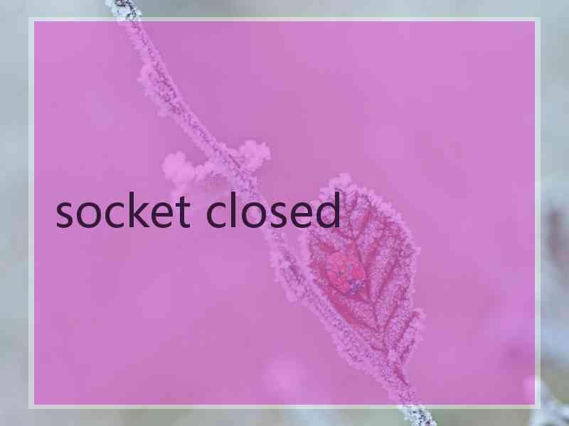 socket closed