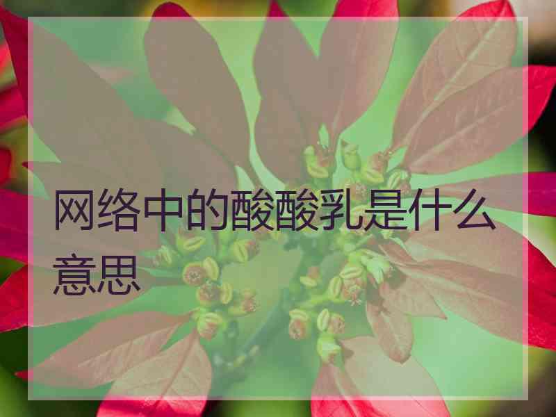 网络中的酸酸乳是什么意思