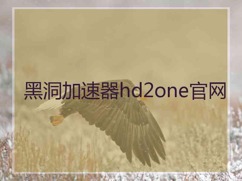 黑洞加速器hd2one官网