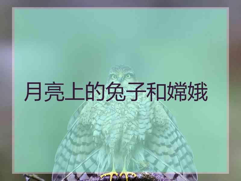 月亮上的兔子和嫦娥