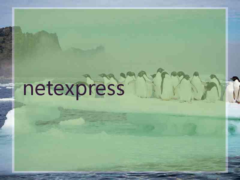 netexpress