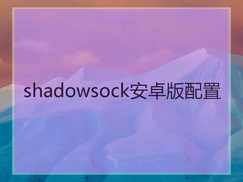 shadowsock安卓版配置