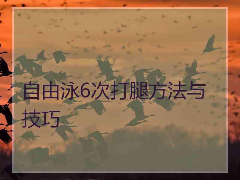 自由泳6次打腿方法与技巧