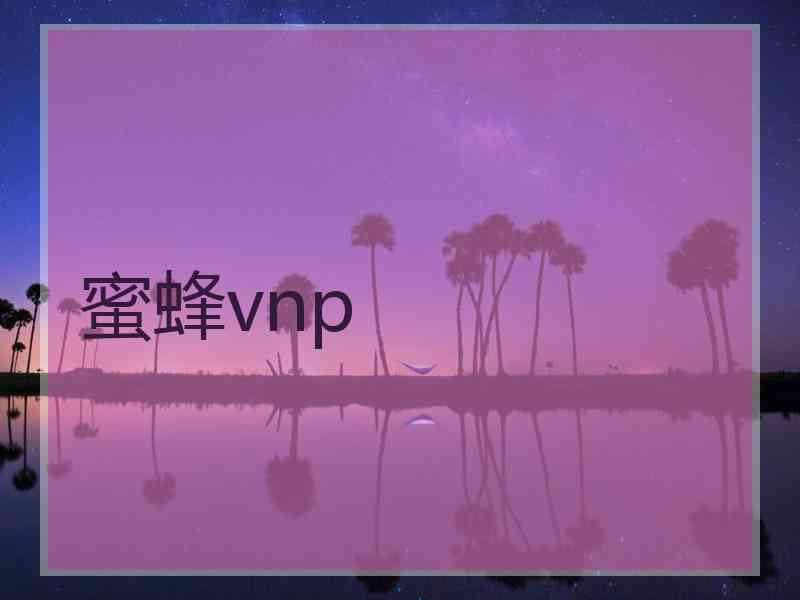 蜜蜂vnp