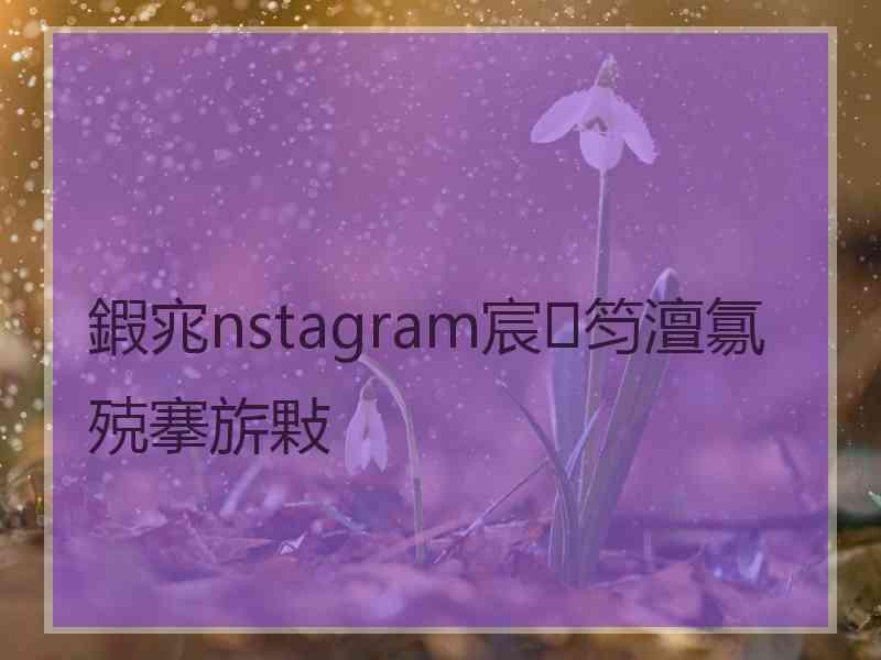 鍜宨nstagram宸笉澶氱殑搴旂敤