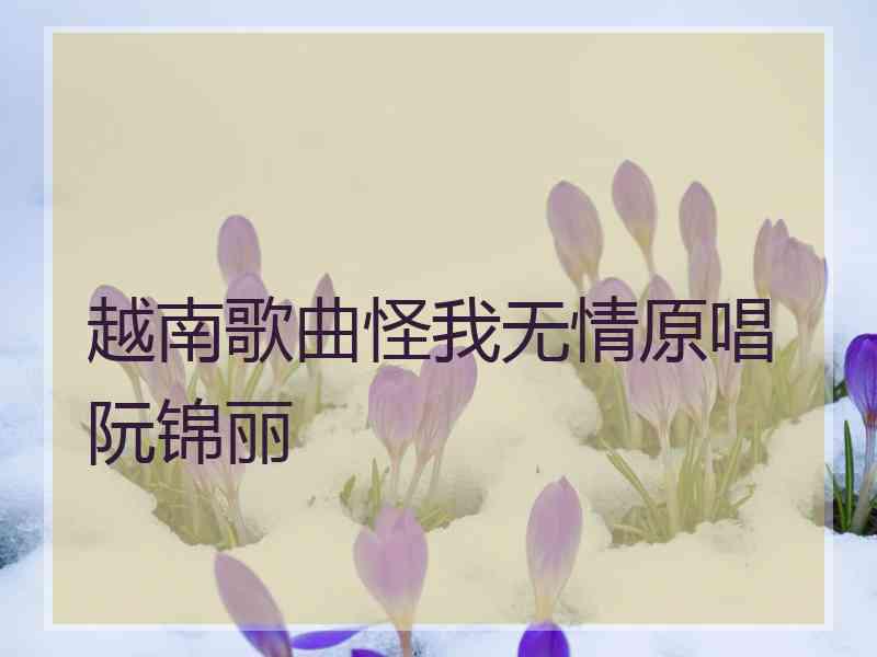 越南歌曲怪我无情原唱阮锦丽