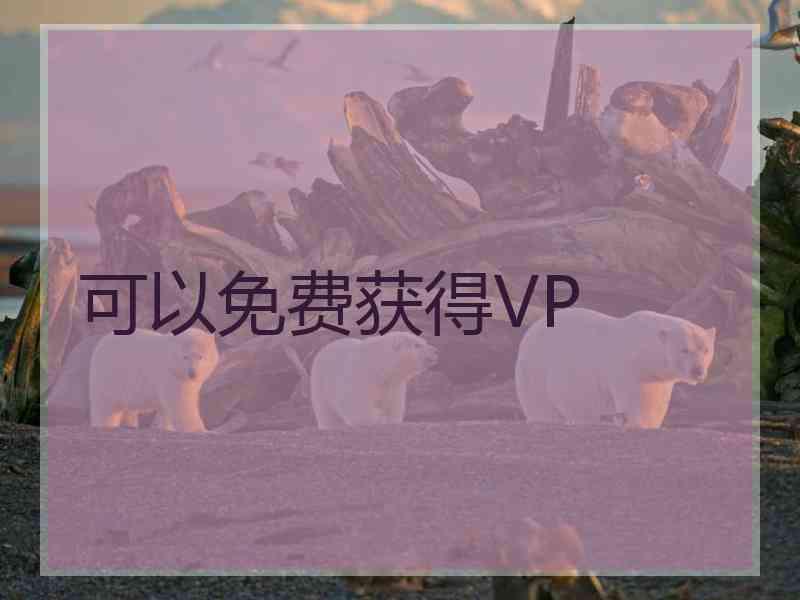 可以免费获得VP