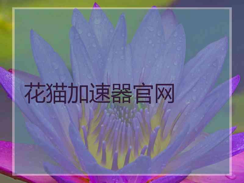 花猫加速器官网