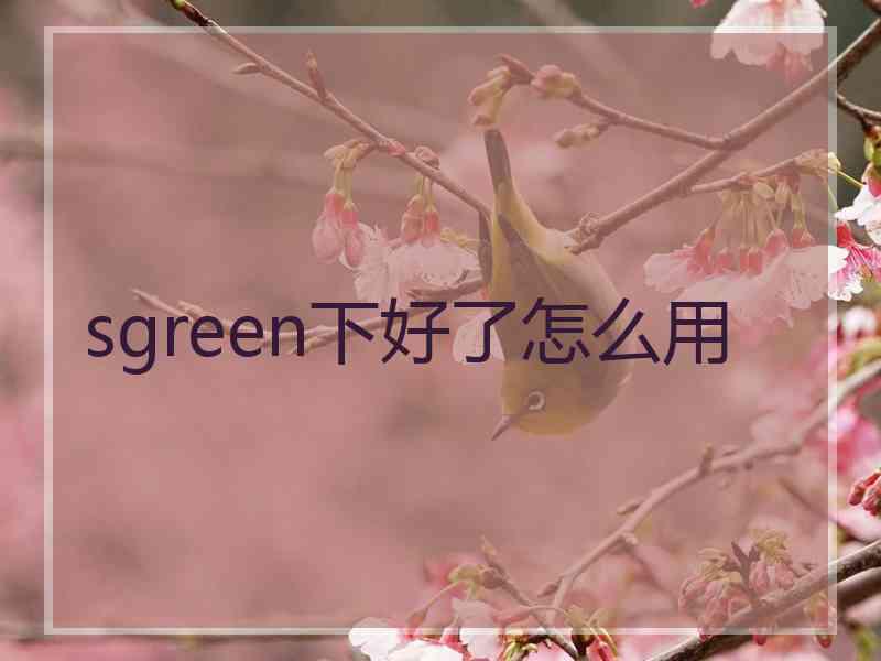 sgreen下好了怎么用