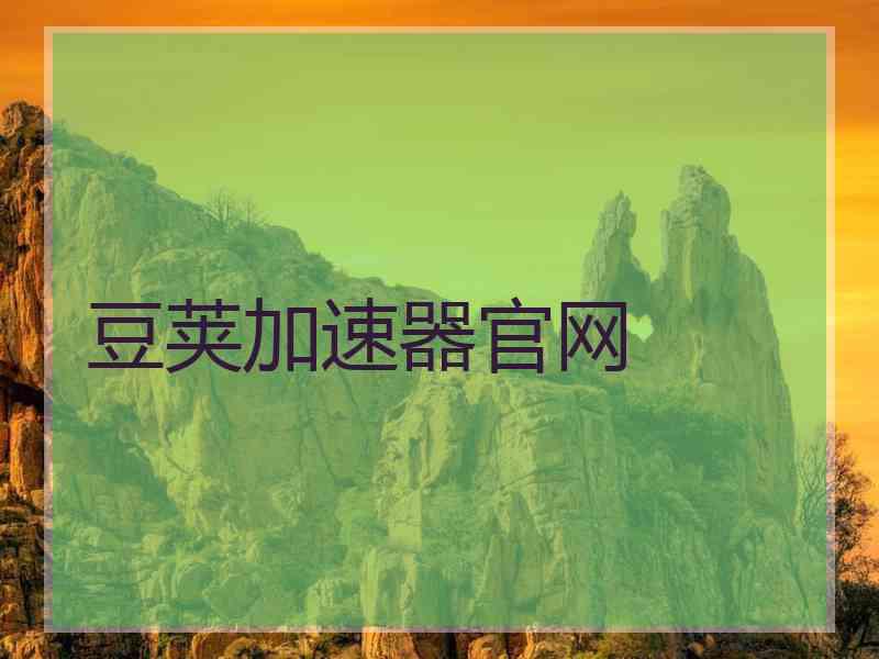 豆荚加速器官网