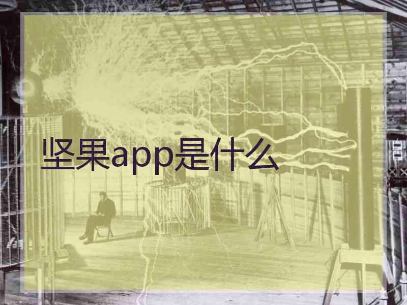 坚果app是什么