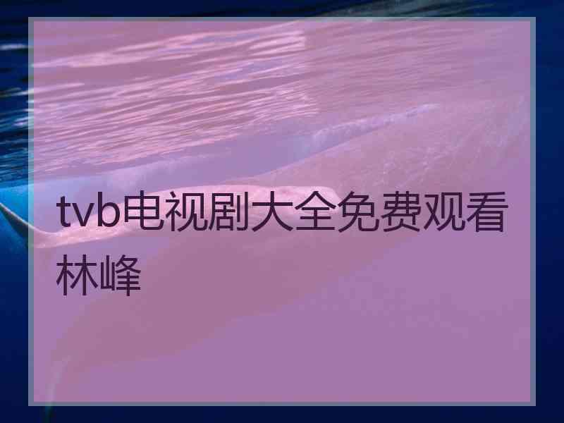 tvb电视剧大全免费观看林峰