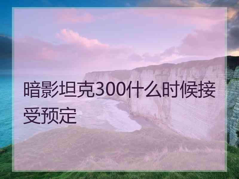 暗影坦克300什么时候接受预定