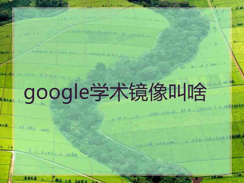 google学术镜像叫啥