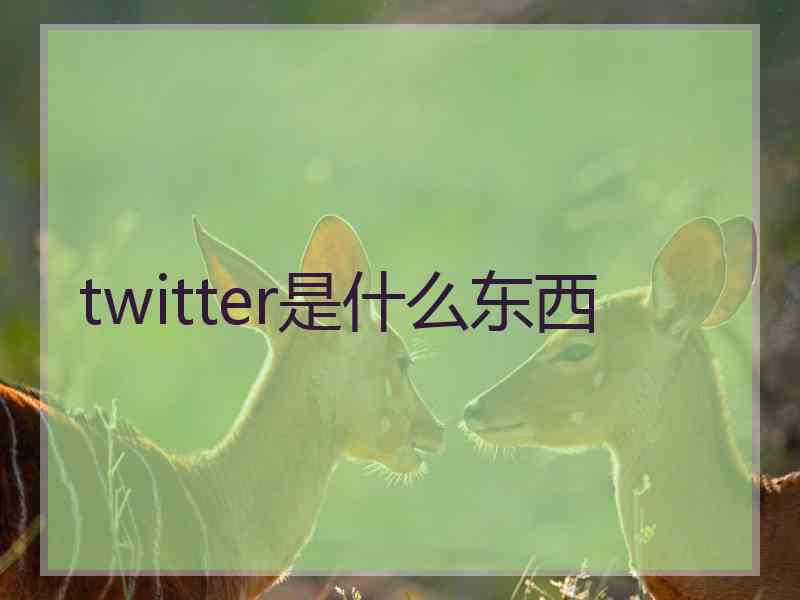 twitter是什么东西