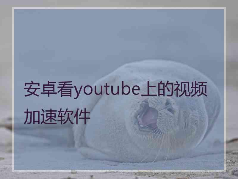 安卓看youtube上的视频加速软件