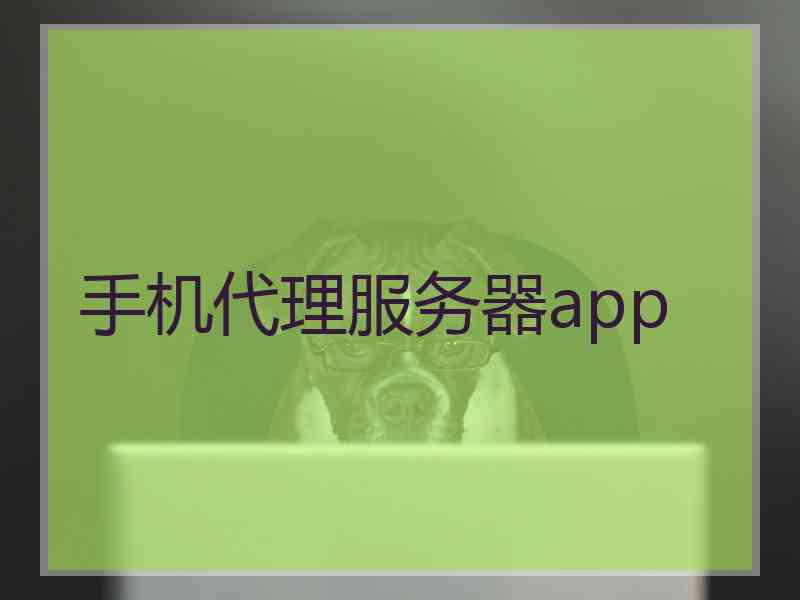 手机代理服务器app