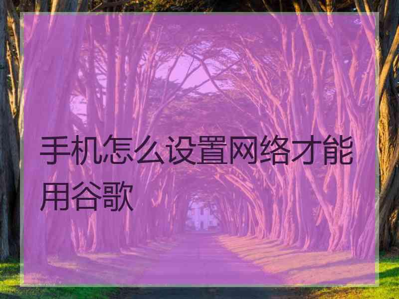 手机怎么设置网络才能用谷歌