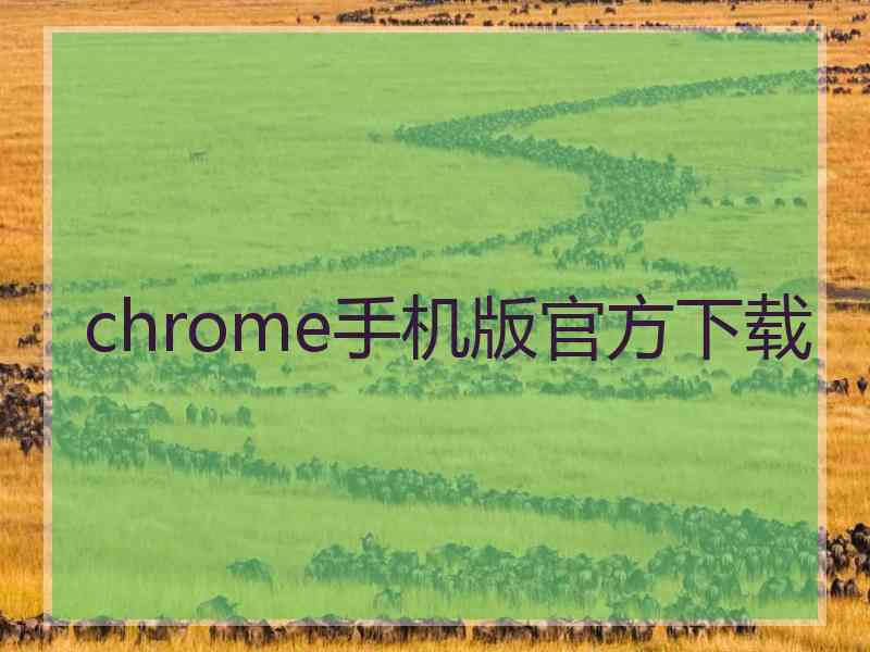 chrome手机版官方下载